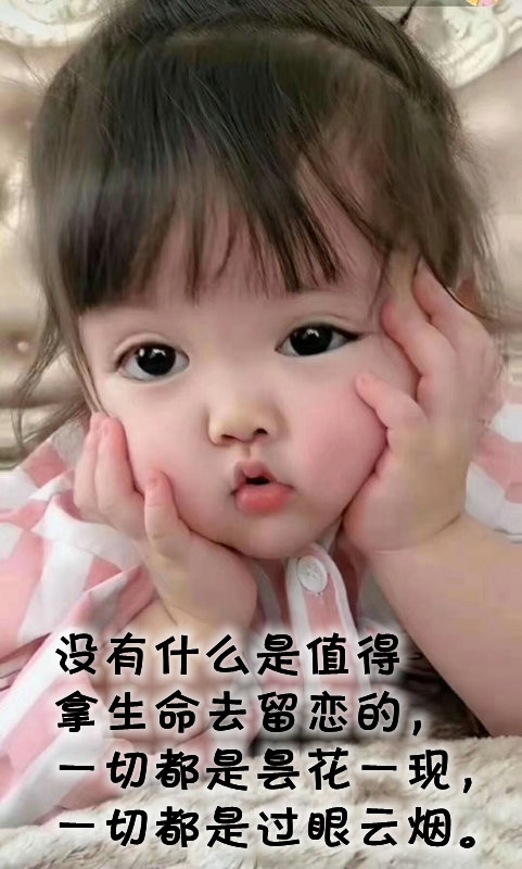 ytwsh289.jpg