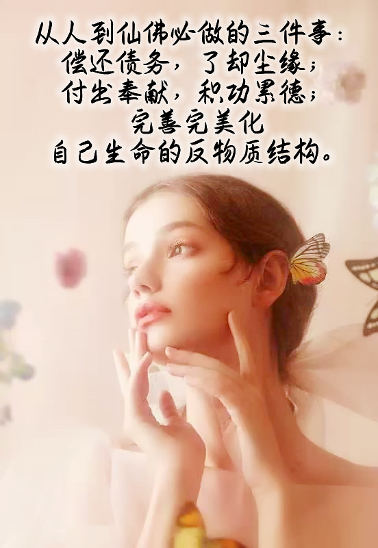 ytwsh291.jpg