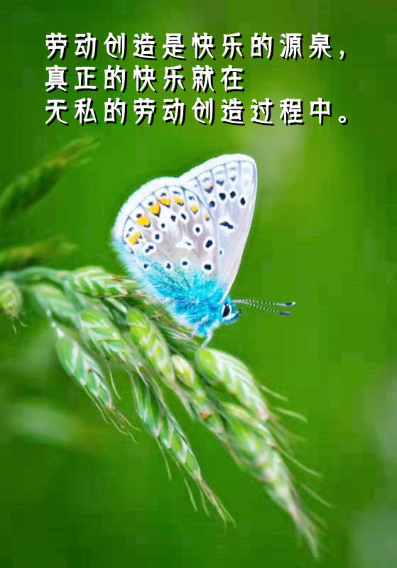 ytwsh324.jpg