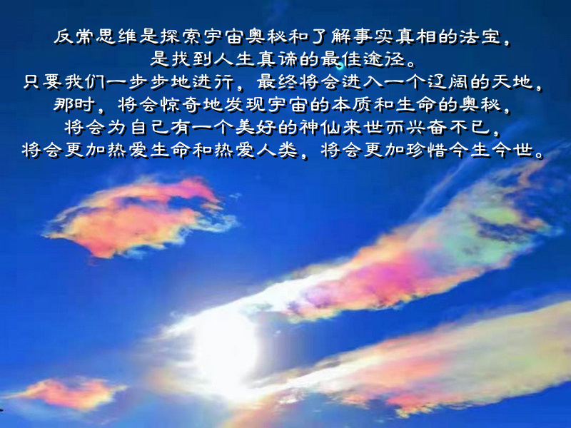 ytwsh333.jpg