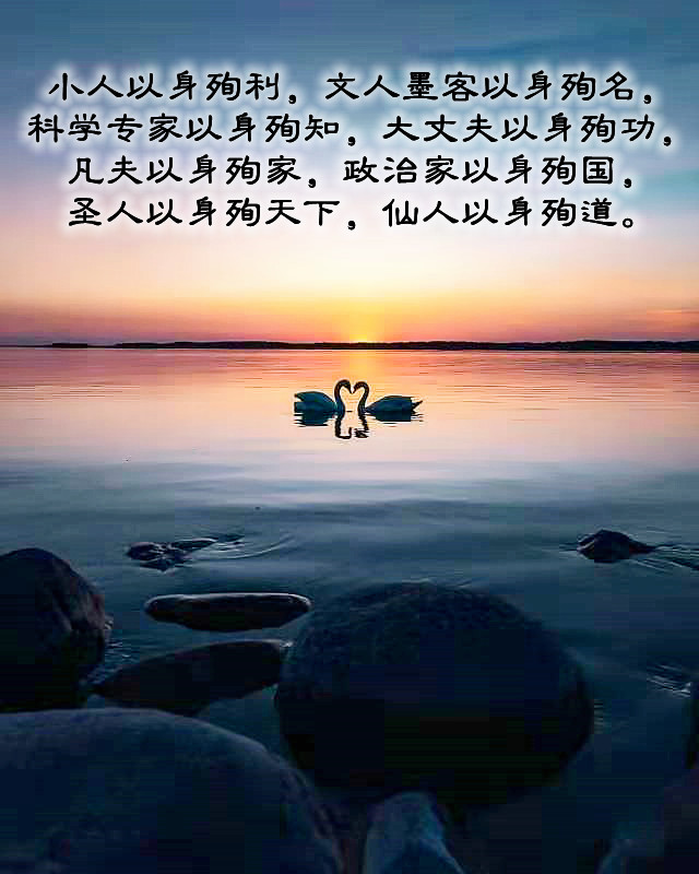 ytwsh344.jpg