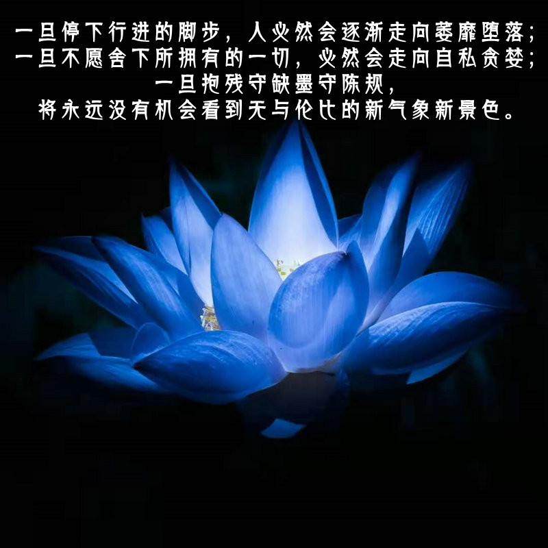 ytwsh347.jpg
