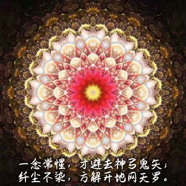 ytwsh357.jpg