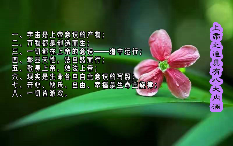 ytwsh362.jpg