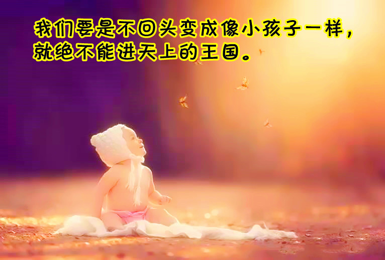 ytwsh363.jpg