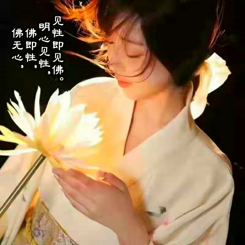 ytwsh371.jpg