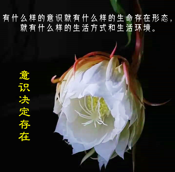 ytwsh374.jpg