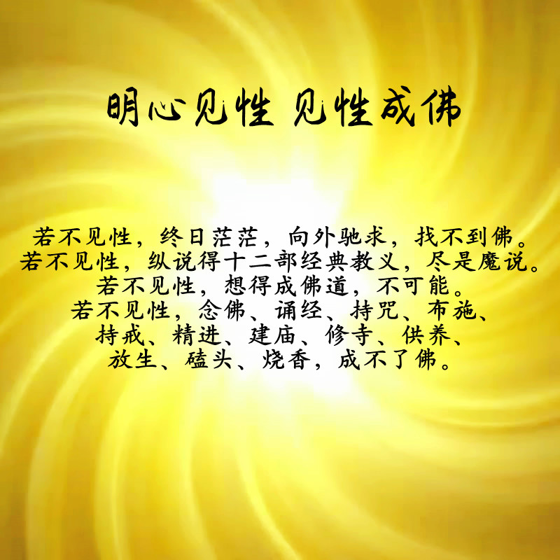 ytwsh394.jpg