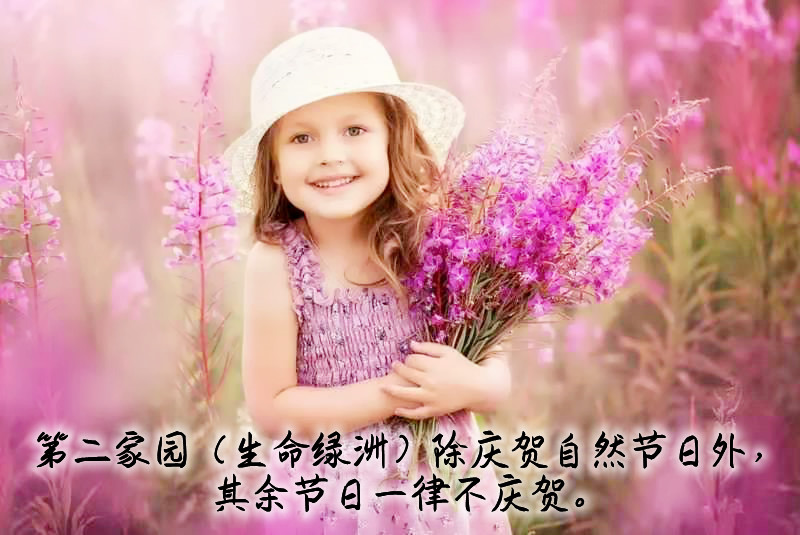 ytwsh395.jpg