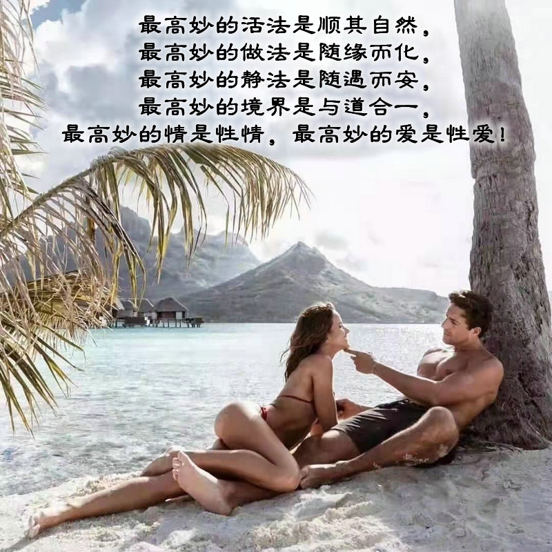 ytwsh433.jpg