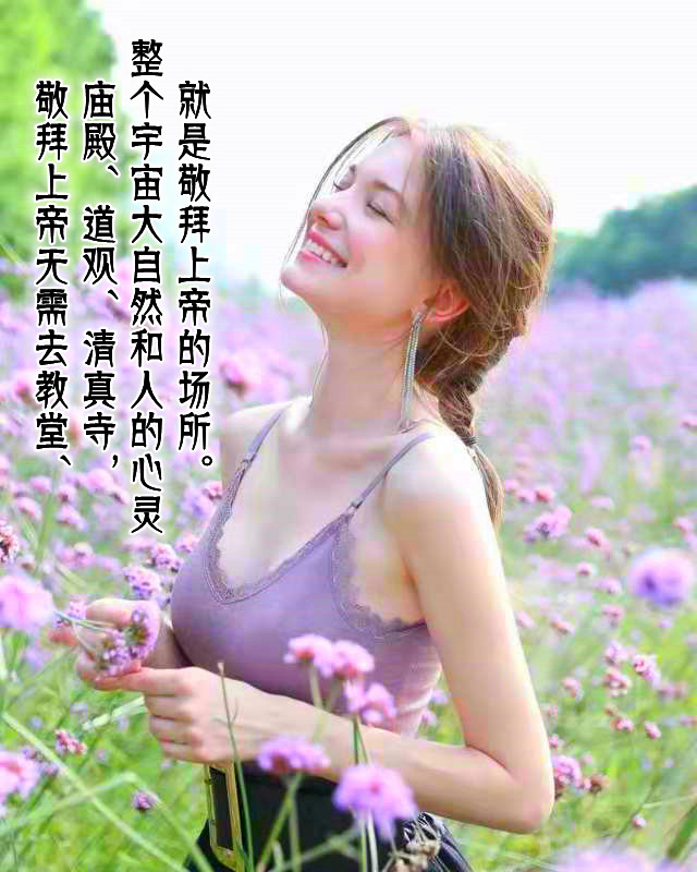 ytwsh438.jpg