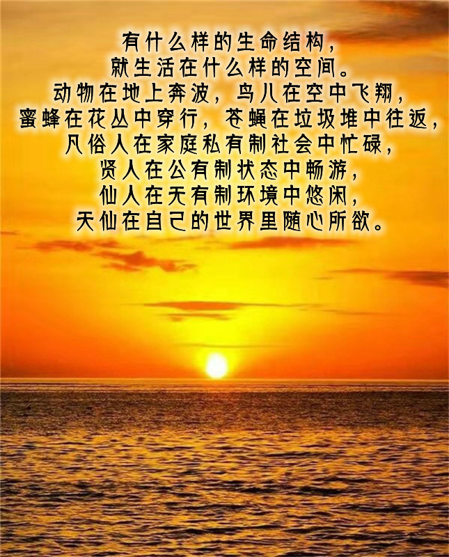 ytwsh440.jpg