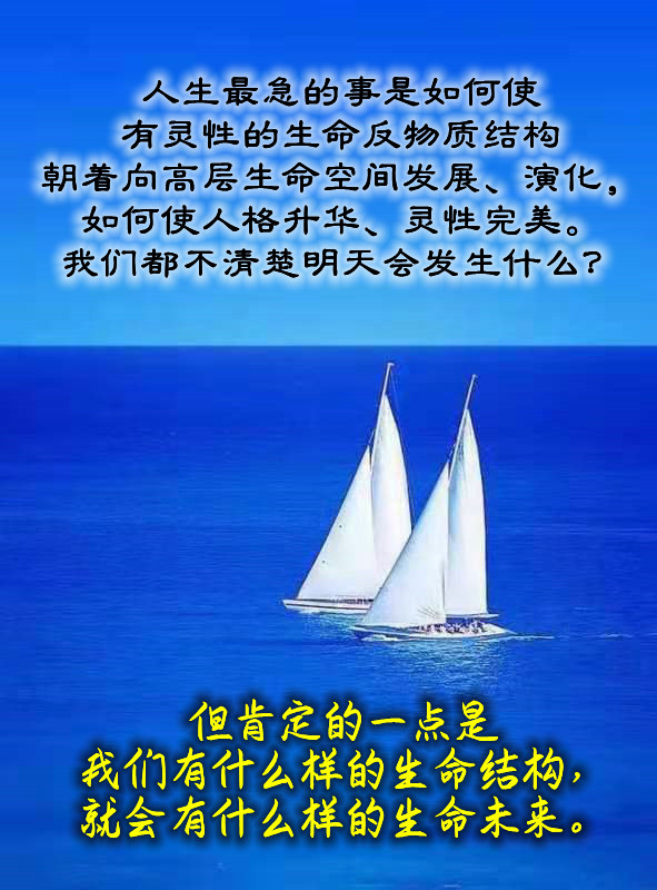 ytwsh445.jpg