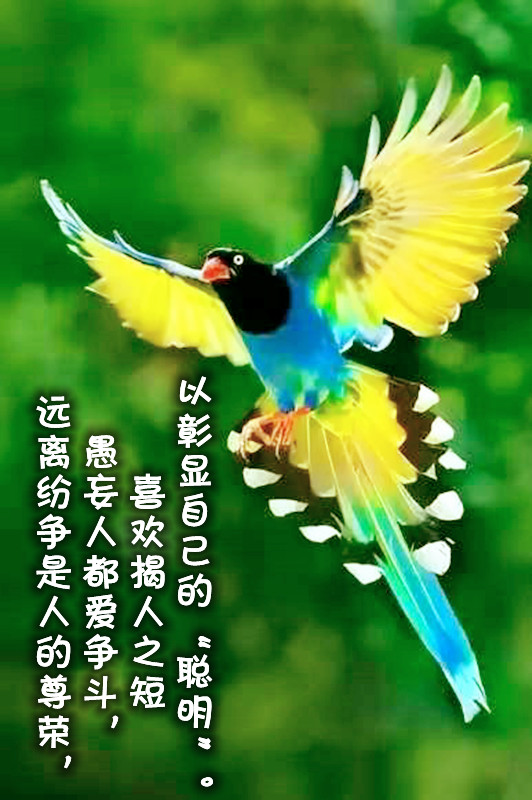 ytwsh458.jpg