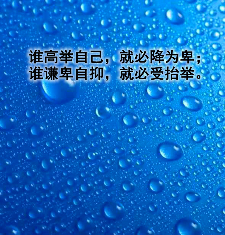 ytwsh468.jpg