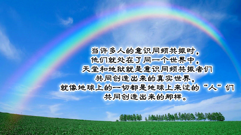 ytwsh475.jpg