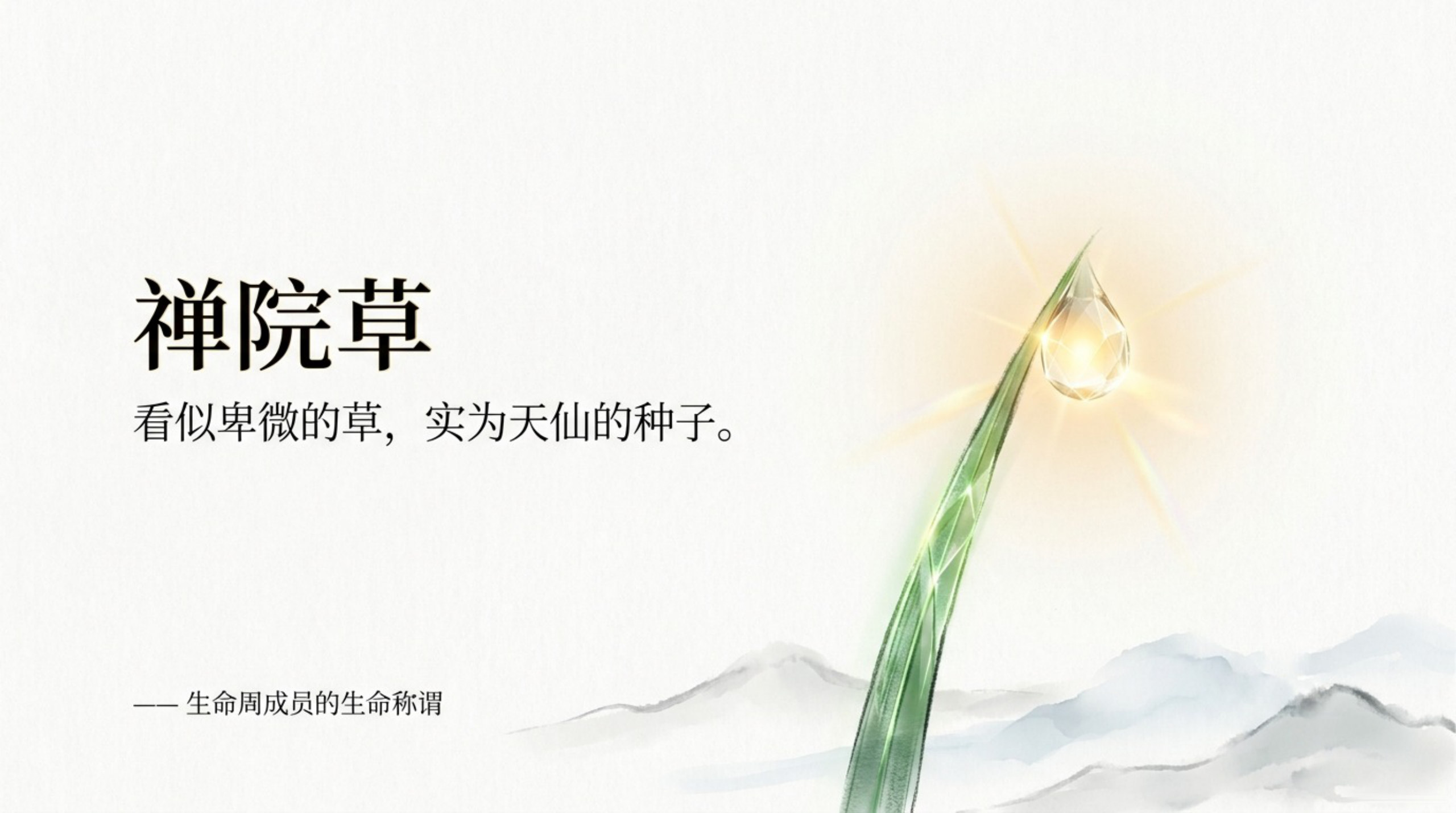 005_Chanyuan_Celestials（禅院草）_无水印_01.jpg