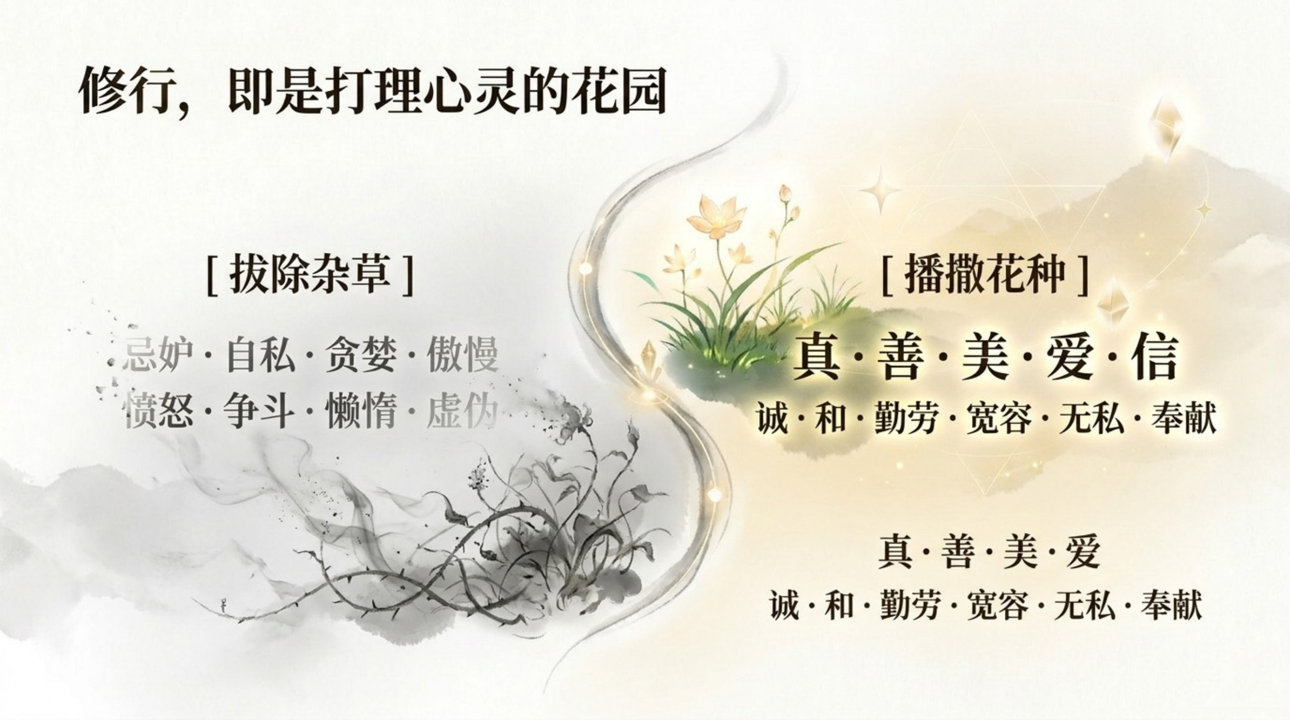 005_Chanyuan_Celestials（禅院草）_无水印_11.jpg